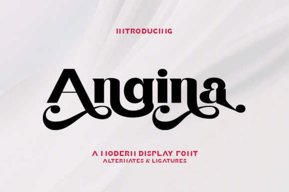 Angina: The Premium Serif Font for Handmade Product Creators