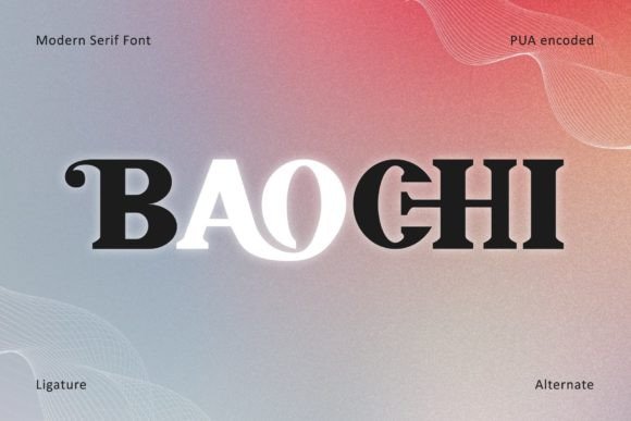 Baochi: The Bold Serif Typeface for Professional Small Business Branding