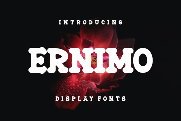 Ernimo: The Playful Display Font That Transforms Digital Brand Experiences